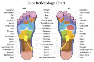 Foot Reflexology Massage, Longmont_800